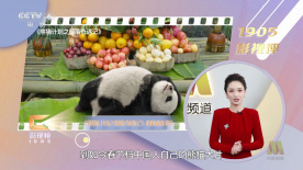 亚洲精品一区二区三区中文字幕